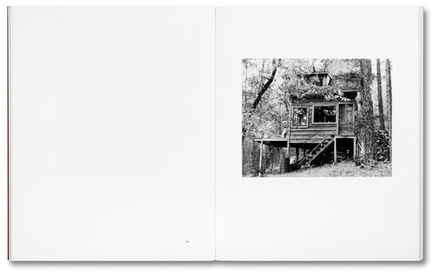 Tee A. Corinne: A forest fire between us
