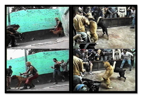 Amores Perros