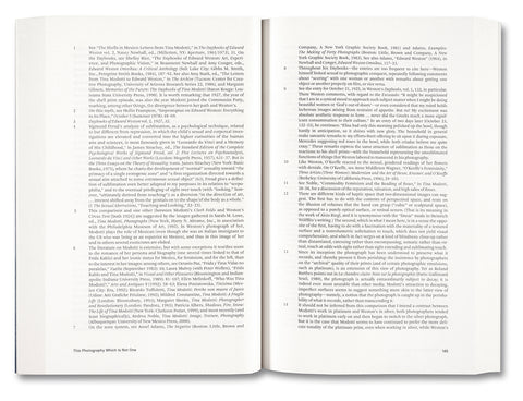Painting Photography Painting: Selected Essays