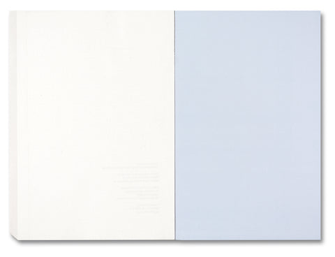 Painting Photography Painting: Selected Essays