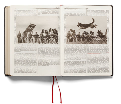 Holy Bible (First printing) Adam Broomberg & Oliver Chanarin - MACK