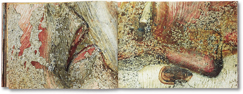Buon Fresco Tacita Dean - MACK