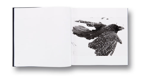 Ravens Masahisa Fukase - MACK