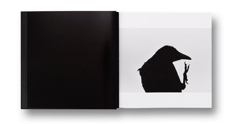 Ravens Masahisa Fukase - MACK