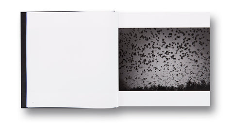 Ravens Masahisa Fukase - MACK