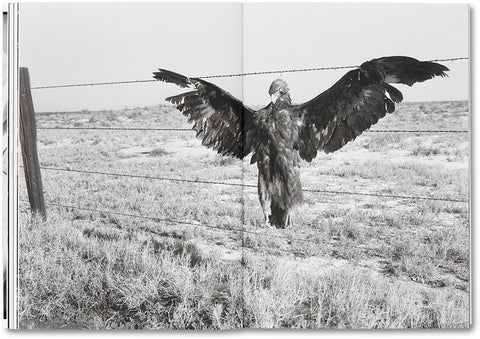 Day Sleeper (First Edition, Second Printing) Dorothea Lange – Sam Contis - MACK
