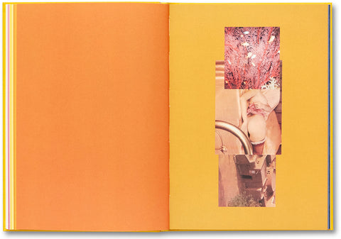 Handbook of the Spontaneous Other Aikaterini Gegisian - MACK