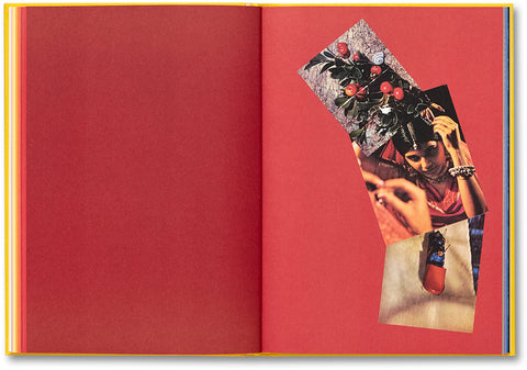 Handbook of the Spontaneous Other Aikaterini Gegisian - MACK