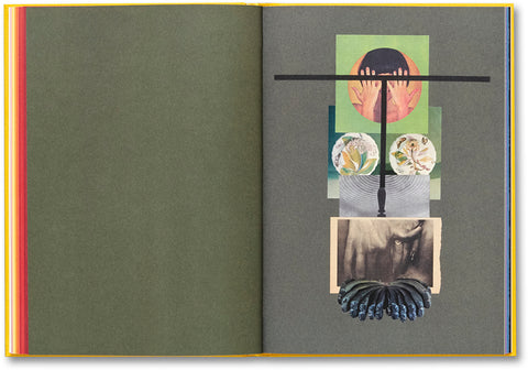 Handbook of the Spontaneous Other Aikaterini Gegisian - MACK