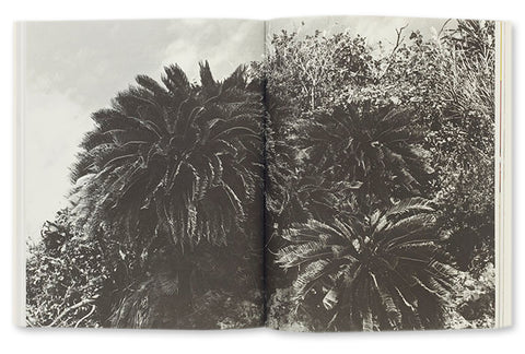 There I Was Collier Schorr - MACK