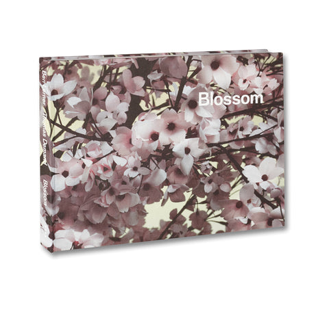 Blossom - MACK
