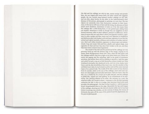 Painting Photography Painting: Selected Essays