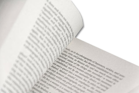 Painting Photography Painting: Selected Essays