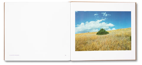 Topographies: Aerial Surveys of the American Landscape