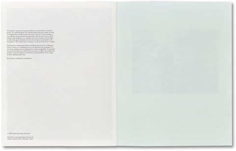 ciprian honey cathedral / errata special edition